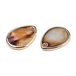 Camel Dyed Natural Freshwater Shell Pendants, with Light Gold Plated Brass Edge, Teardrop Charm, Camel, 20~21x15~16x1.5~2.5mm, Hole: 1.6mm