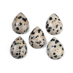 Далматинских Джаспер Природные яшмы далматин кабошонов, слеза, 20~20.5x15~15.5x6.5~7 мм