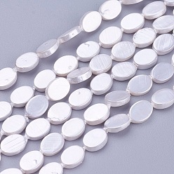 Blanc Chapelets de perles nacrées, ovale, blanc, 8~9x6x2~2.5mm, Trou: 0.5mm, Environ 46 pcs/chapelet, 15.5 pouce (39.5 cm)