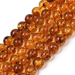Янтарный Янтарные шарики нити, круглые, 7.5~8 мм, отверстие : 0.5 мм, около 48 шт / нитка, 14.76 дюйм (37.5 см)