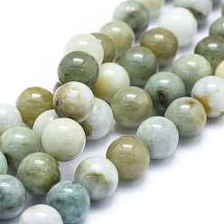 Myanmar Jade Natural Myanmar Jadeite Beads Strands, Round, 10mm, Hole: 1mm, about 41pcs/strand, 16.14 inch(41cm)
