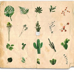 Cactus 20Pcs Retro Story PET Waterproof Stickers, Flower Plant Floral Decals for DIY Scrapbooking, Cactus, 17~82mm