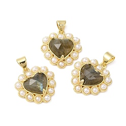 Labradorite Natural Labradorite Pendants, Faceted Heart Charms, with Ion Plating(IP) Brass Findings and Plastic Beads, Real 14K Gold Plated, 18~18.5x17.5~18x5.5~6.8mm, Hole: 4.5x3.5mm