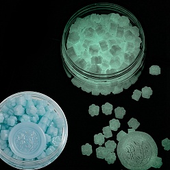 Sky Blue Luminous Sealing Wax Particles, for Retro Seal Stamp, Cat Paw Print, Sky Blue, 9x9mm