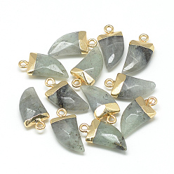 Light Grey Natural Labradorite Pointed Pendants, with Brass Findings, Faceted, Tusk Shape, Golden, Light Grey, 21x11x5.5mm, Hole: 2mm