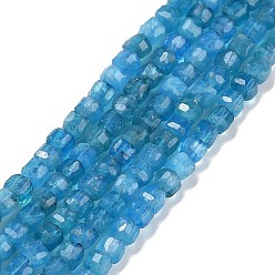 Apatite Natural Apatite Beads Strands, Faceted, Cube, 2.5x2.5x2.5mm, Hole: 0.5mm, about 186~188pcs/strand, 15.16~15.35 inch(38.5~39cm)