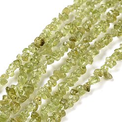 Peridot Natural Peridot Beads Strands, Grade A, Chip, 4~7mm, Hole: 1mm, about 33 inch(84cm)