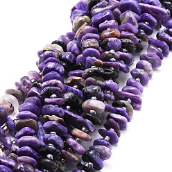 Charoite Natural Charoite Beads Strands, Nuggets, 7~12x9~15x1.5~4.5mm, Hole: 1mm, about 83pcs/strand, 14.88''(37.8cm)