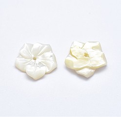 White Shell Flower Natural White Shell Beads, Mother of Pearl Shell Beads, 15~16x3mm, Hole: 0.8mm
