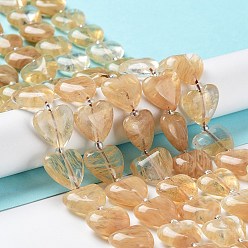 Other Watermelon Stone Glass Watermelon Stone Glass Beads Strands, with Seed Beads, Heart, 14~15x15x6~6.5mm, Hole: 1.4mm, about 23~24pcs/strand, 14.57''(37cm)