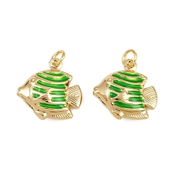 Зеленый Латунные эмалевые подвески-рыбки, прелести морских животных, с прыжковых колец, золотые, стойки покрытие, без кадмия и без свинца, долговечный, зелёные, 18x17.5x6 мм, отверстие : 3.4 мм