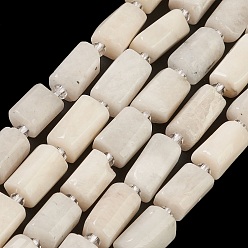 Rainbow Moonstone Natural Rainbow Moonstone Beads Strands, with Seed Beads, Faceted, Column, 5.5~7.5mm, Hole: 0.7mm, about 26~33pcs/strand, 15.67''~16.46''(39.8~41.8cm)