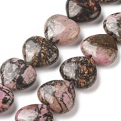 Rhodonite Natural Rhodonite Beads Strands, Heart, 24~26x28~28.5x9~12mm, Hole: 1.5mm, about 15pcs/strand, 15.04~15.55 inch(38.2~39.5cm)