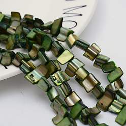 Green Natural Shell Beads Strands, Green, 8~17.5x5~8x5mm, Hole: 1mm, 16 inch/strand, 40pcs/strand