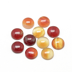 Natural Agate Natural Agate Cabochons, Dyed, Half Round/Dome, 10x4~5mm