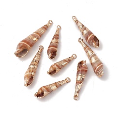 Sienna Electroplated Natural Cowrie Shell Pendants, Shell Charms, with Light Gold Tone Brass Findings, Sienna, 32~49x8~12x8~11mm, Hole: 1.8mm