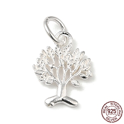 Silver 925 Sterling Silver Charms, Tree of Life, with Jump Ring, with S925 Stamp, Silver, 12x9x1mm, Hole: 3.5mm
