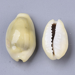 Kaki Clair Perles de coquillage cauri naturelles, pas de trous / non percés, kaki clair, 12.5~19x8~12x6~9mm, environ700 pcs / 500 g