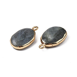 Labradorite Natural Labradorite Pendants, with Light Gold Plated Brass Findings, Oval, 22~22.5x13~13.5x4.5~5mm, Hole: 1.6mm