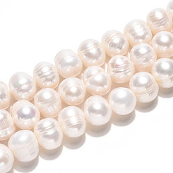 Кремово-белый Нити из натурального культивированного пресноводного жемчуга, картофель, кремово-белые, 9~10.5x10~12.5 мм, отверстие : 0.7 мм, около 41~42 шт / нитка, 15.35 дюйм (39 см)
