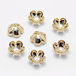 Real 18K Gold Plated 5-Petal Brass Caps, Long-Lasting Plated, Real 18K Gold Plated, Nickel Free, Flower, 13.5x6mm, Hole: 1mm
