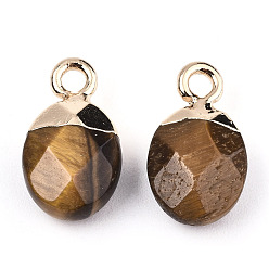 Tiger Eye Natural Tiger Eye Charms, Top Light Gold Plated, with Iron Loop, Oval, Faceted, 14~15x8x5mm, Hole: 1.8mm