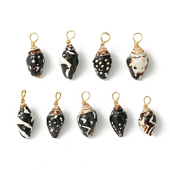 Black Spiral Shell Pendants, with Real 18K Gold Plated Copper Wire Loops, Shell Charms, Black, 18~20x7~8x6~7mm, Hole: 3.2~3.7mm
