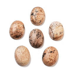 Пейзажный Джаспер Естественная картина яшма кабошоны, овальные, 16x12x5 мм