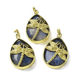 Содалитовое Природные подвески содалитом, с фурнитурой латунной золотого тона, без свинца и без кадмия, слезинка с подвесками в виде стрекоз, 40~40.5x26~26.5x8.5~9.5 мм, отверстие : 7~8x4.5~5 мм