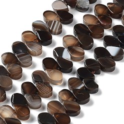 Coconut Brown Natural Agate Beads Strands, Dyed & Heated, Top Drilled, Teardrop, Coconut Brown, 8x5x3mm, Hole: 0.8~1mm, about 52~55pcs/strand, 7.48~7.87 inch(19~20cm)