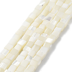 Floral White Natural Trochus Shell Beads Strands, Cube, Floral White, 3.5~5x4~4.5x4~4.5mm, Hole: 0.7mm, about 90~92pcs/strand, 15.55''~15.75''(39.5~40cm)