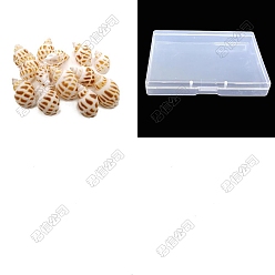 Sienna 200Pcs Natural Shell Pendants, Shell Shape Charms, Sienna, 20~30mm