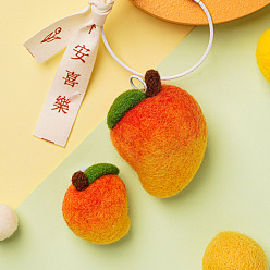 Mango Fruit Shape Needle Felting Starter Kit, with Wool Felt and Punch Needles, Needle Felting Kit for Beginners Arts, Mango Pattern, 115x85mm