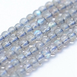 Labradorite Natural Labradorite Beads Strands, Grade A++, Round, 3mm, Hole: 1mm, about 120pcs/strand, 15.5 inch(39.5cm)