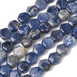 Содалитовое Природный содалит бисер нитей, шестиугольник, 8x8.5~9x5 мм, отверстие : 0.8 мм, около 47~48 шт / нитка, 15.16~15.35'' (38.5~39 см)