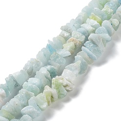 Aquamarine Natural Aquamarine Chip Beads Strands, 3~9.5x12~23x7~10.5mm, Hole: 0.6~0.8mm, about 65~70pcs/strand, 15.91''~16.34''(40.4~41.5cm)