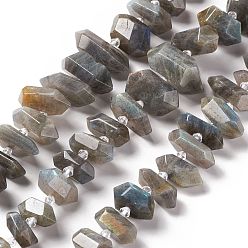 Labradorite Natural Labradorite Beads Strands, Faceted, Double Terminated Pointed/Bullet, 19~34x9~16x5.5~14.5mm, Hole: 2mm, about 28~29pcs/strand, 15.55~16.34 inch(39.5~41.5cm)