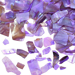 Medium Purple Natural Abalone/Paua Shell Mica Fragment, Nail Art Decorations, Shell Mica Slices, Dyed, Medium Purple, 1~20x1~15x0.5mm