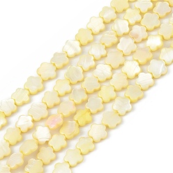 Yellow Natural Freshwater Shell Dyed Beads Strands, Flower, Yellow, 8x8.5x3mm, Hole: 0.6mm, about 49pcs/strand, 15.35''(39cm)