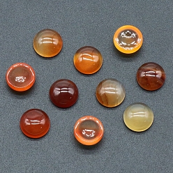Red Agate Natural Red Agate Cabochons, Half Round, 10x5mm