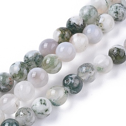 Tree Agate Natural Tree Agate Beads Strands, Round, 6~6.5mm, Hole: 1.2mm, about 65pcs/strand, 15.55 inch(39.5cm)