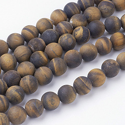Tiger Eye Natural Yellow Tiger Eye Bead Strands, Round, Grade AB+, Frosted, 10~10.5mm, Hole: 1.5mm, about 38pcs/strand, 15.3 inch(39cm)
