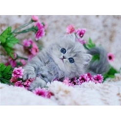 Mixed Color DIY Rectangle Cat Theme Diamond Painting Kits, Including Canvas, Resin Rhinestones, Diamond Sticky Pen, Tray Plate and Glue Clay, Cat with Flower, Mixed Color, 300x400mm
