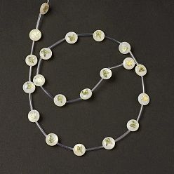 Mariposa Cuentas de concha de perla natural hebras, con láminas de latón y esmalte, color de concha, plano y redondo, patrón de mariposa, 8.5x3.2 mm, agujero: 0.7 mm, sobre 20 unidades / cadena, 15.55'' (39.5 cm)