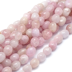 Pink Natural Morganite Beads Strands, Grade A, Drum, Pink, 12~14x9~10mm, Hole: 1mm, about 29~32pcs/strand, 15.94 inch(40.5cm)