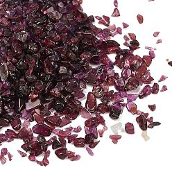 Гранат Гранулы из натурального граната, нет отверстий / незавершенного, 2~12x2~10x1~3 мм