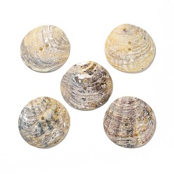 Moccasin Mother of Pearl Buttons, Akoya Shell Button, 2-Hole, Shell Shape, Mixed Color, 35x35x4.7mm, Hole: 2mm