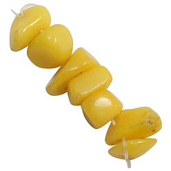 Gold Natural White Jade Beads Strands, Dyed, Chip, Gold, about 8~18mm wide, hole: 1.5mm, about 33 inch