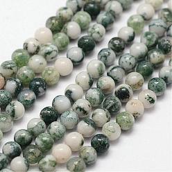 Tree Agate Natural Tree Agate Beads Strands, Round, 3mm, Hole: 0.5mm, 125pcs/strand, 15.7 inch