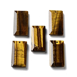 Tiger Eye Natural Tiger Eye Pendants, Faceted Rectangle Charms, 25x13x4~4.5mm, Hole: 1mm